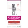 Eukanuba VD Dog Intestinal 12 kg
