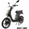 Elektroskúter RACCEWAY® E-BABETA® 250W 12Ah, zelený-maskáč