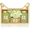 ARÔME Olive