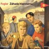 Záhada hlavolamu - Jaroslav Foglar - online doručenie