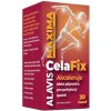 ALAVIS MAXIMA CelaFix 30 kapslí