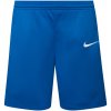 Nike Team Men Basketball Shorts