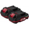 Parkside 20 V/2 Ah PAP 20 B1, 2 ks 800010643