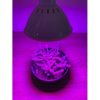 BASIC LED GROW žiarovka na všetky rastliny (E27) 6W