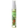 Dentamint ústní sprej malý 27 ml