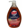 Dual Power profesionálny koncentrát na umývanie riadu s pumpičkou Aloe & Melograno 1 l