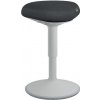 Leitz Ergo ergonomická balanční židle pro sezení, světle šedá