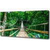 Foto obraz na plátne Most tropický les 100x50 cm