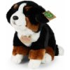 Plyšový bernský salašnícky pes na sedenie 25 cm ECO-FRIENDLY