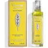 L'Occitane Citrus Verbena toaletná voda toaletná voda dámska 100 ml