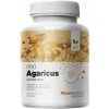 Agaricus PRO BIO 35% betaglukánov 90 kapsúl MycoMedica