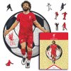 Fan-shop Dřevěné puzzle LIVERPOOL FC Mo Salah 500 ks