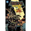 DC Comics Batman and Robin: Year One
