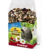 JR Farm Individual Papagáj sivý 950 g
