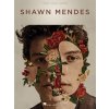 Shawn Mendes - pre spev a klavír s akordmi pre gitaru