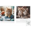 Cats 2026 - nástěnný kal…