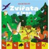 Kde jsi? Kdo jsi? Zvířata v lese - Laval Thierry