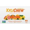XyliChew Ovocné žuvačky (12 ks)