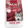 Wolf of Wilderness 