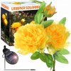 SOLÁRNA ZAPICHOVACIA ZÁHRADNÁ LAMPA KVET PIVÓNIA