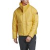 Pánska zimná bunda adidas BIG BAFFLE JKT ACTGOL žltá DZ1431 - M