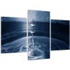 Obraz kvapky vody (Obraz 90x60cm)