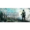 Triangle Strategy