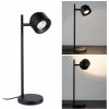 Paulmann Puric Pane I stolová LED lampa, 40 cm - 79777