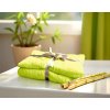 Sada uterák a osuška ÁČKO BAMBOO Apple green
