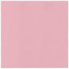 PAW Obrúsky Airlaid Monocolor rosar 40x40cm