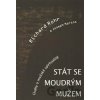 Stát se moudrým mužem - Richard Rohr, Joseph Martos