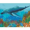 Diamondi Diamantové maľovanie - VEĽRYBA A KORÁLOVÝ ÚTES Rámovanie: vypnuté plátno na rám, Rozmer: 40x50 cm