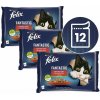 Felix Fantastic hovädzie kura v želé 12 x 85 g