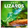 Ještěři 2027 - nástěnný kalendář