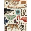 Animálium (Katie Scott; Jenny Broom)