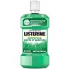 Listerine ústna voda - Teeth&Gum Protection 250ml