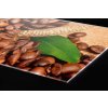 DIMEX | Plexisklo za kuchynskú linku PGT-08060-006 | 80 x 60 cm Káva + Plexisklo za kuchynskú linku DIMEX v rozmere 80 x 60 cm, Káva + Lepidlo zadarmo