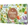 Kolekce čajů Lovaré Herbal Tea (64 sáčků)