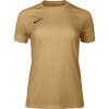 Nike Dri-FIT Park VIII Women hnedá