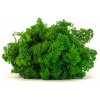 Stabilizovaný mach - lišajník - jablkovo zelený GG Váha: 1kg