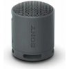 Sony SRS-XB100 Bluetooth Speaker Black EU