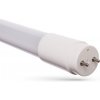 Spectrum WOJ+22955