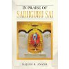 In Praise of Sadhguru Sai (Rajesh R. Anand)(Brožovaná)