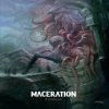 Maceration - It Never Ends [CD]