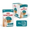 Royal Canin AGEING 11+ Chunks in gravy 12x85g