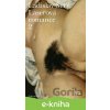 E-kniha Laserová romance 2 - Ladislav Šerý