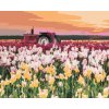 ZUTY Maľovanie podľa čísel - TULIPÁNY NA POLI (TED DAVIS) Rámovanie: bez rámu a bez vypnutia plátna, Rozmer: 80x100 cm