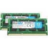 Brainzap DDR3 8GB 1333MHz CL9 (2x4GB) PC3-10600S-09-11-F3