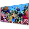 Nástenný panel Koralový útes príroda 100x50 cm