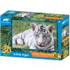 PRIME 3D PUZZLE - Biely tiger 63 dielikov